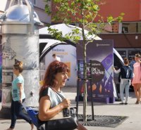 Mixer regionalny 2016