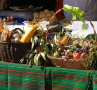 Mixer regionalny 2016