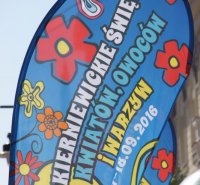 Mixer regionalny 2016